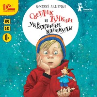 Виктория Ледерман. Светлик Тучкин и украденные каникулы