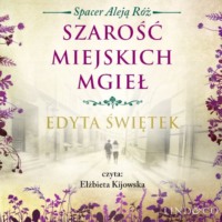 Edyta Świętek. Szarość miejskich mgieł
