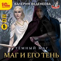 . Маг и его тень