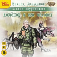 . Котёнок и его человек