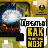 Ю. В. Щербатых. Как работает наш мозг