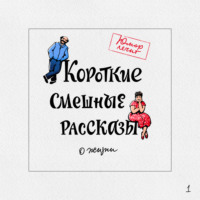 . Короткие смешные рассказы о жизни