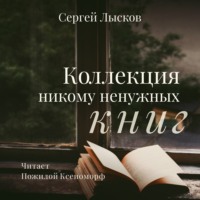 Сергей Лысков. Коллекция никому ненужных книг