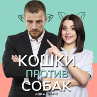 . Кошки против собак