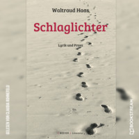 . Schlaglichter - Lyrik und Prosa (Ungek?rzt)