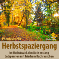 . Herbstspaziergang: Phantasiereise Herbstwald, den Bach entlang - Entspannen mit frischem Bachrauschen