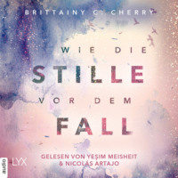. Wie die Stille vor dem Fall. Erstes Buch - Chances-Reihe, Band (Ungek?rzt)