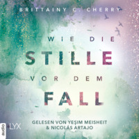 . Wie die Stille vor dem Fall. Zweites Buch - Chance-Reihe, Band (Ungek?rzt)