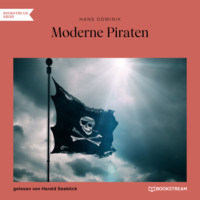 . Moderne Piraten (Ungek?rzt)