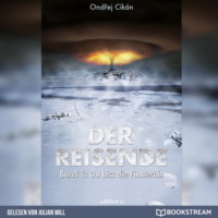 . Du bist die Finsternis - Der Reisende, Band 1 (Ungek?rzt)