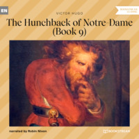 . The Hunchback of Notre-Dame, Book 9 (Unabridged)