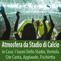 . Atmosfera da stadio di calcio in casa: I suoni dello stadio, ventola che canta, applaude, fischietta