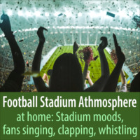 . Football Stadium Athmosphere at Home: Stadium Moods, Fans Singing, Clapping, Whistling