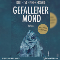 Ruth Schneeberger. Gefallener Mond - Roman (Ungek?rzt)