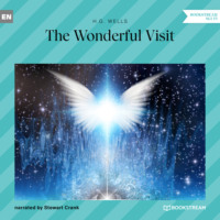 H. G. Wells. The Wonderful Visit (Unabridged)