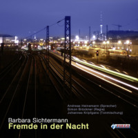 . Fremde in der Nacht