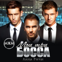 . Мои три босса