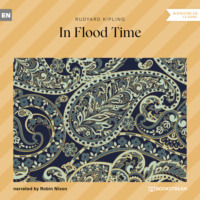 . In Flood Time (Unabridged)