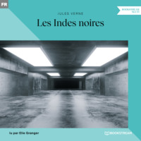 . Les Indes noires