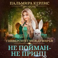 . Университет Междумирья. Не пойман – не принц