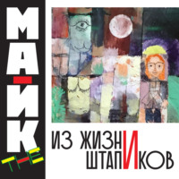 . Из жизни Штапиков