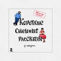 . Короткие смешные рассказы о жизни 2