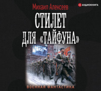 . Стилет для «Тайфуна»