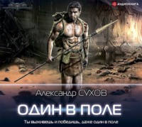 . Лёд. Один в поле