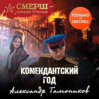 Александр Тамоников. Комендантский год