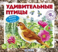 А. А. Тихонов. Удивительные птицы