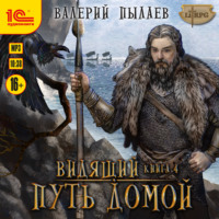 . Видящий. Путь домой