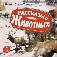 . Рассказы о животных