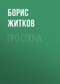 . Про слона
