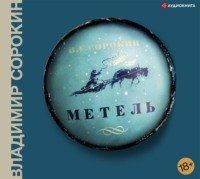 Владимир Сорокин. Метель