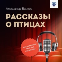 . Рассказы о птицах