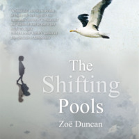 . The Shifting Pools (Unabridged)