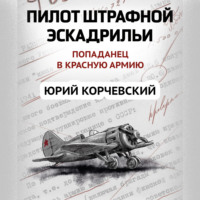 . Пилот штрафной эскадрильи