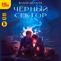 . Чёрный сектор