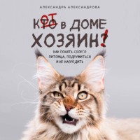 . Кот в доме хозяин! Как понять своего питомца, подружиться и не навредить