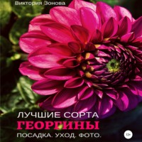 Виктория Зонова. Георгины. Лучшие сорта