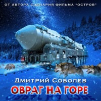 . Овраг на горе
