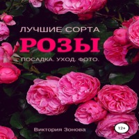 . Розы. Лучшие сорта