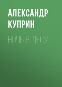 . Ночь в лесу