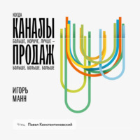 Игорь Манн. Каналы продаж