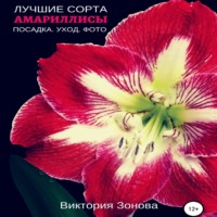 Виктория Зонова. Амариллисы. Лучшие сорта