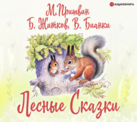 . Лесные сказки