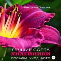 Виктория Зонова. Лилейники. Лучшие сорта