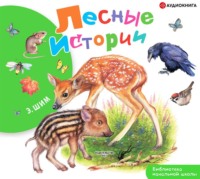 . Лесные истории