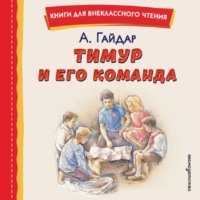 . Тимур и его команда