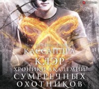 . Академия Сумеречных охотников. Хроники